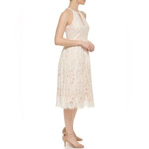 Eliza J Women's Fit and Flare Sleeveless Lace Dress